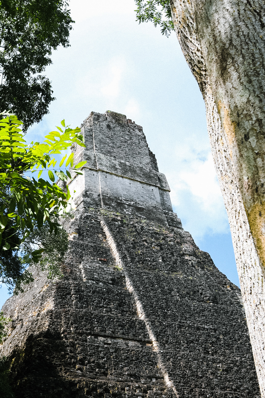 Mini Guia Tikal