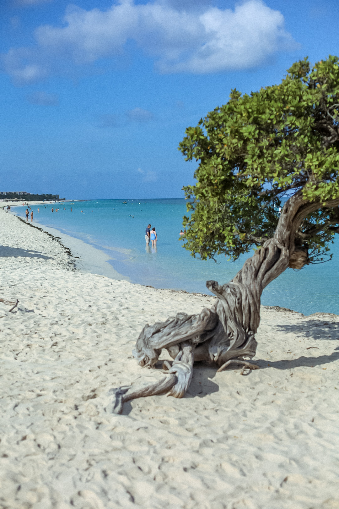 5 Playas Imperdibles de Aruba