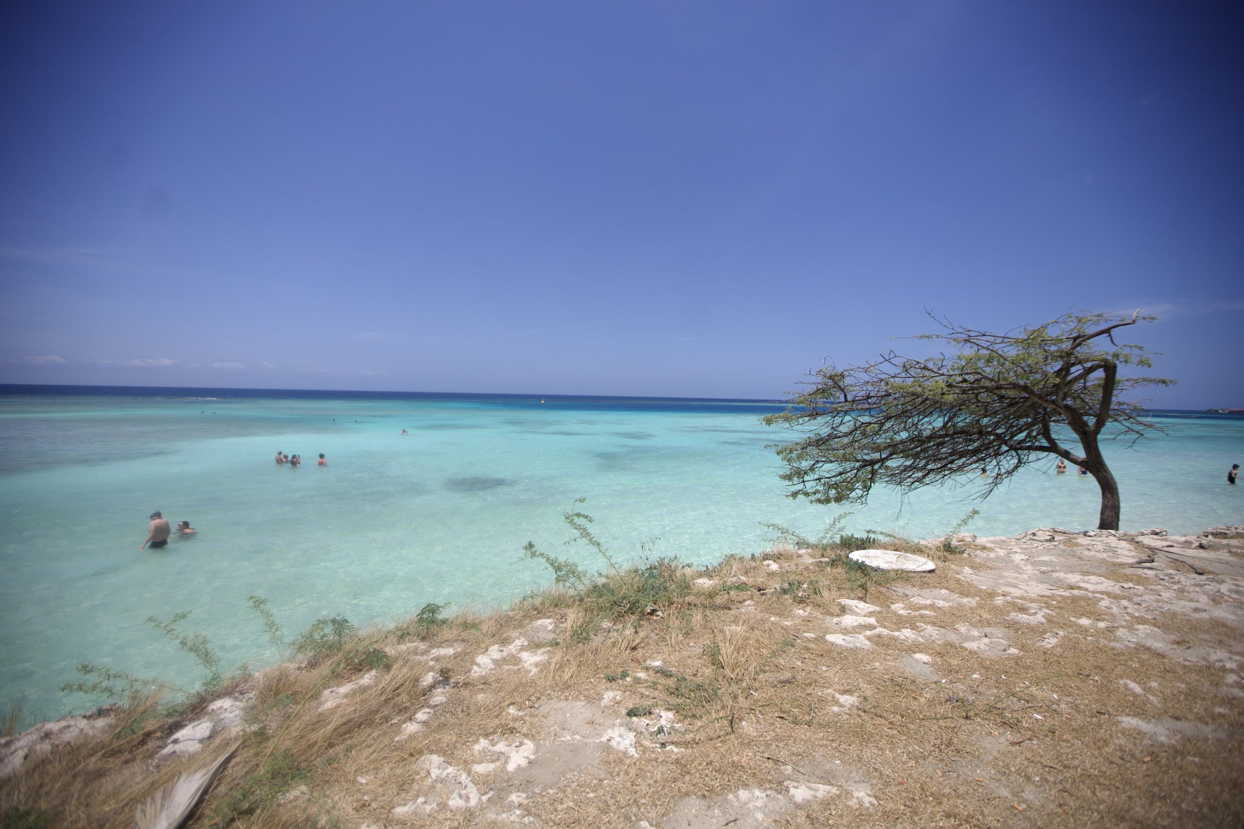 5 Playas Imperdibles de Aruba