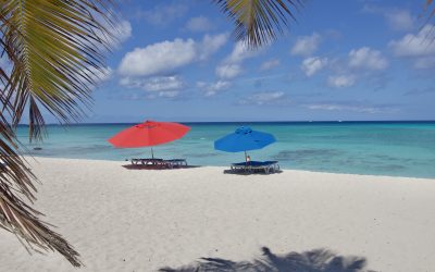 5 Playas Imperdibles de Aruba 
